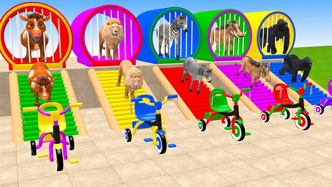 Long Slide Game With Elephant Cow Lion Zebra Warthog Gorilla 3d Animal Game Funny 3d Animals
