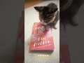 Bright Side is a heartbreaking book the ending has left me crying.I felt like I knew Kate
