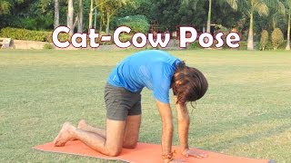 Cat-Cow Yoga Pose | Back Pain Relief | 2 Minutes Yoga Health for Beginners 