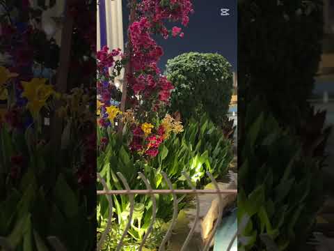 جوله ممتعه في مترو الرياض إلى حديقة الوطن اكسبلور اشترك بل قناة وفعلو الجرس ليصلكم كل جديد