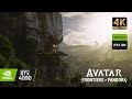Avatar frontiers of pandora on rtx 4090  max graphics showcase  exploring biomes 4k60