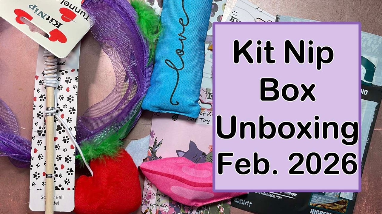 Распаковка Kit Nip Box | Февраль 2026
