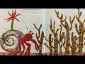 Hermit Crab's Journey Quiz