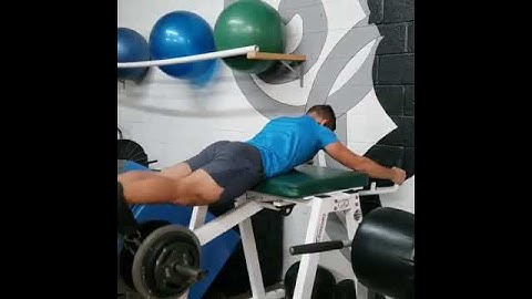 Reverse Hyper (strength and hypertrophy) February 25, 2022(1)