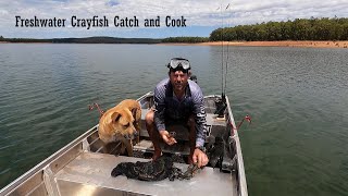 Freshwater Crayfish Catch and Cook