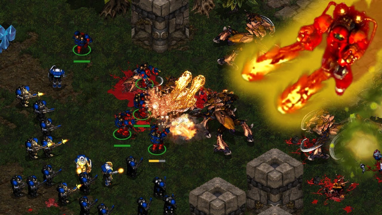 Fire Bats Java MASS FIREBATS ??? - YouTube