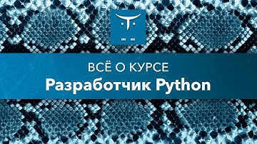 Всё о курсе «Разработчик Python»
