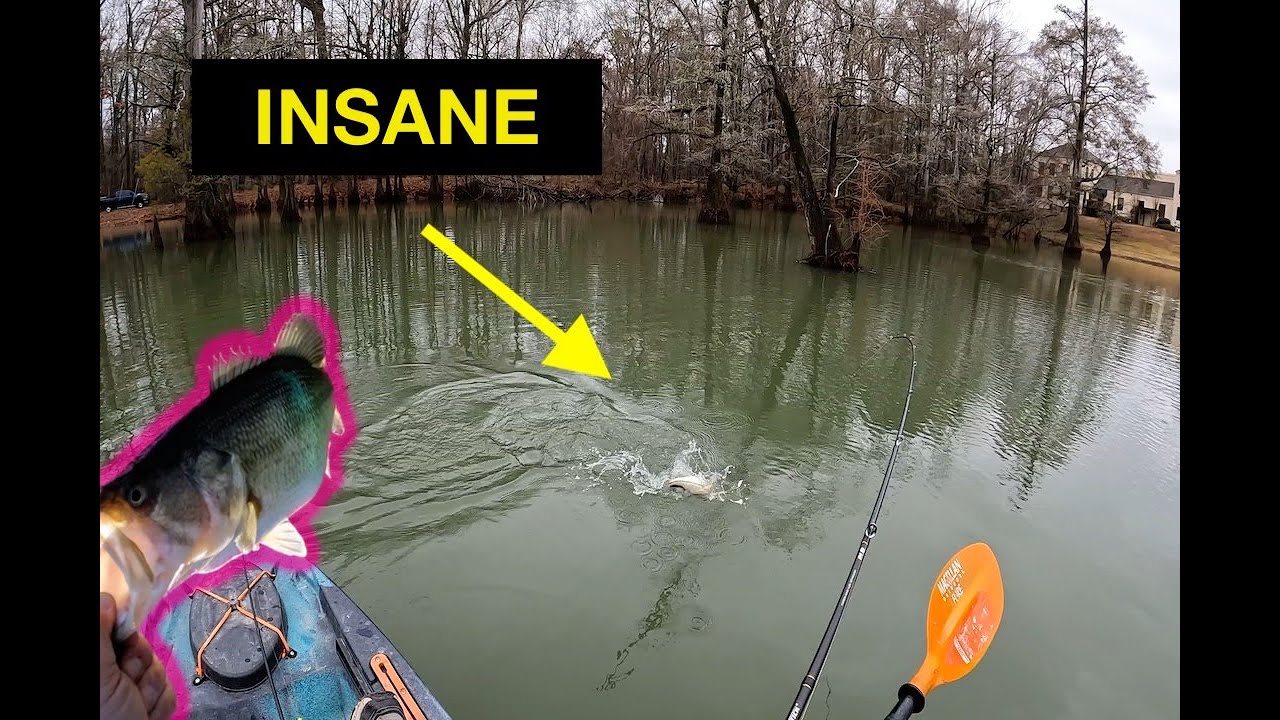 Umbrella Rig KILLER for WINTER BASS! #bassfishing #kayakfishing