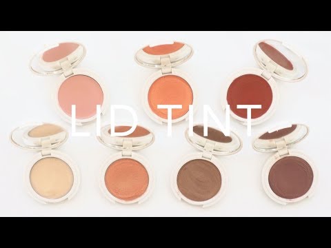 eye test 4 Review Swatches Dempsey Product Jillian Lid Tints and eye test 4 Review Swatches Dempsey Product Jillian Lid Tints and