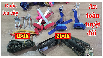 DỤNG CỤ TRÈO CÂY/ COMBO GUỐC+GIÂY 200K / DÂY ĐAI MÓC AN TOÀN MẪU MỚI NHẤT NĂM 2025