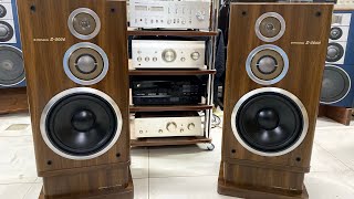 : Pioneer s-3000 