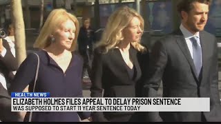 Full Elizabeth Holmes files appeal to delay prison sentence News