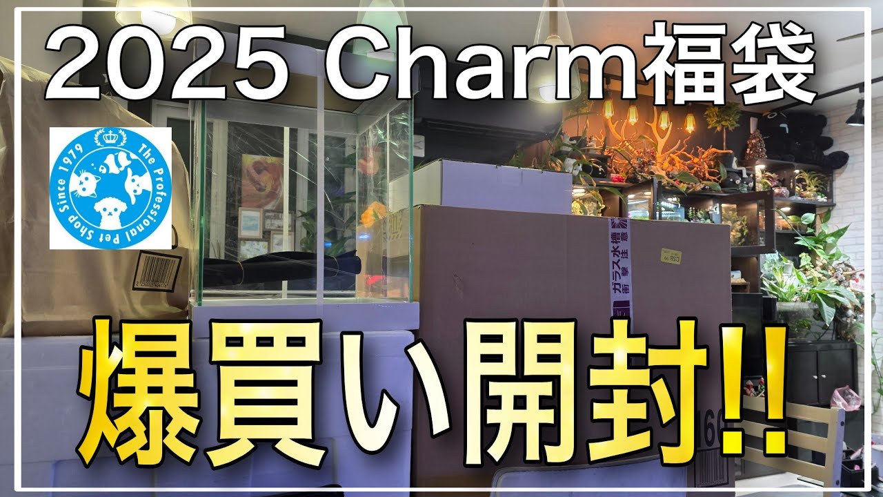 Is the Charm lucky bag a hit?! I'll open the lucky bag that I