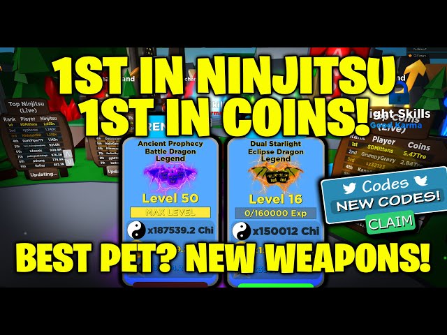 1st In Ninjitsu Coins Best Pets Ninja Legends - grumpygravy roblox ninja legends