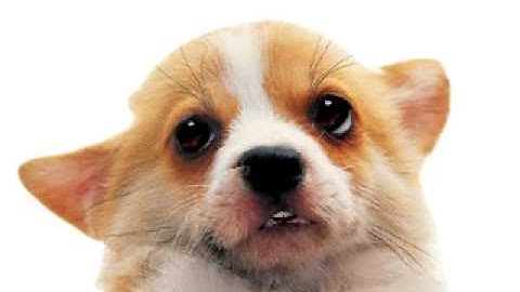 How To Make A Free Website With Webs.com