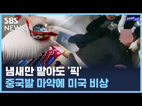 냄새만으로도 쓰러지는데 중국발 마약 펜타닐 미국내 광범위하게 퍼져 SBS 모아보는 뉴스 