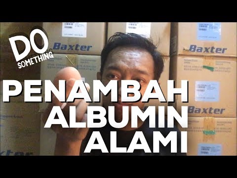 MAKAN PUTIH TELUR UNTUK ALBUMIN