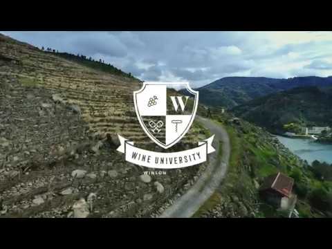 Wine University II: What is Appellation?