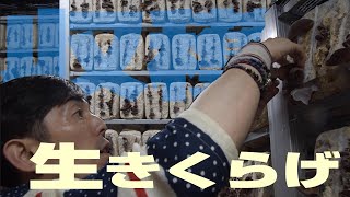 初体験！国産きくらげを収穫してみた【小堀裕之のほこりまみれ鳥取県境港・米子編⑦】