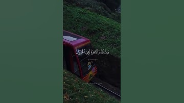 تلاوة هادئة و مؤثرة و مريحة للقارئ أحمد عباس البلوشي