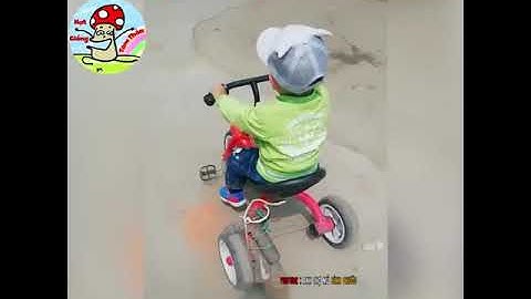 Cái khó ló cái khôn   IQ vô cực