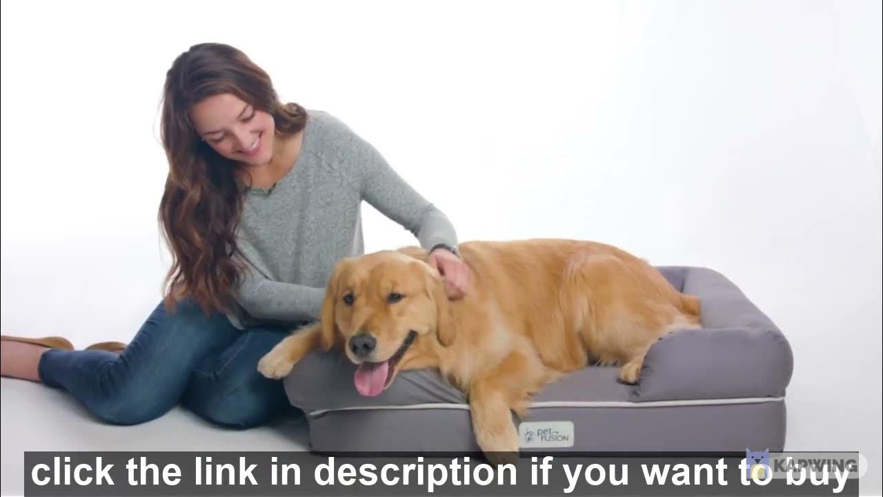 Best bed for a dog waterproof and comfortable bed for pets like cat and