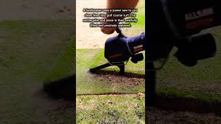 Cutting and Replacing Turf With Power Tools