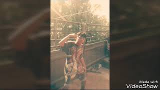 Fenomena - sapubitink