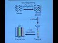 Measuring cellular signaling using ms based proteomics