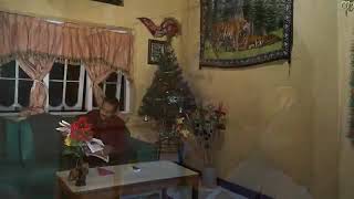 Selamat Natal Mama Papa - Voc. Ronald Bribe ( lagu Nagi Larantuka)