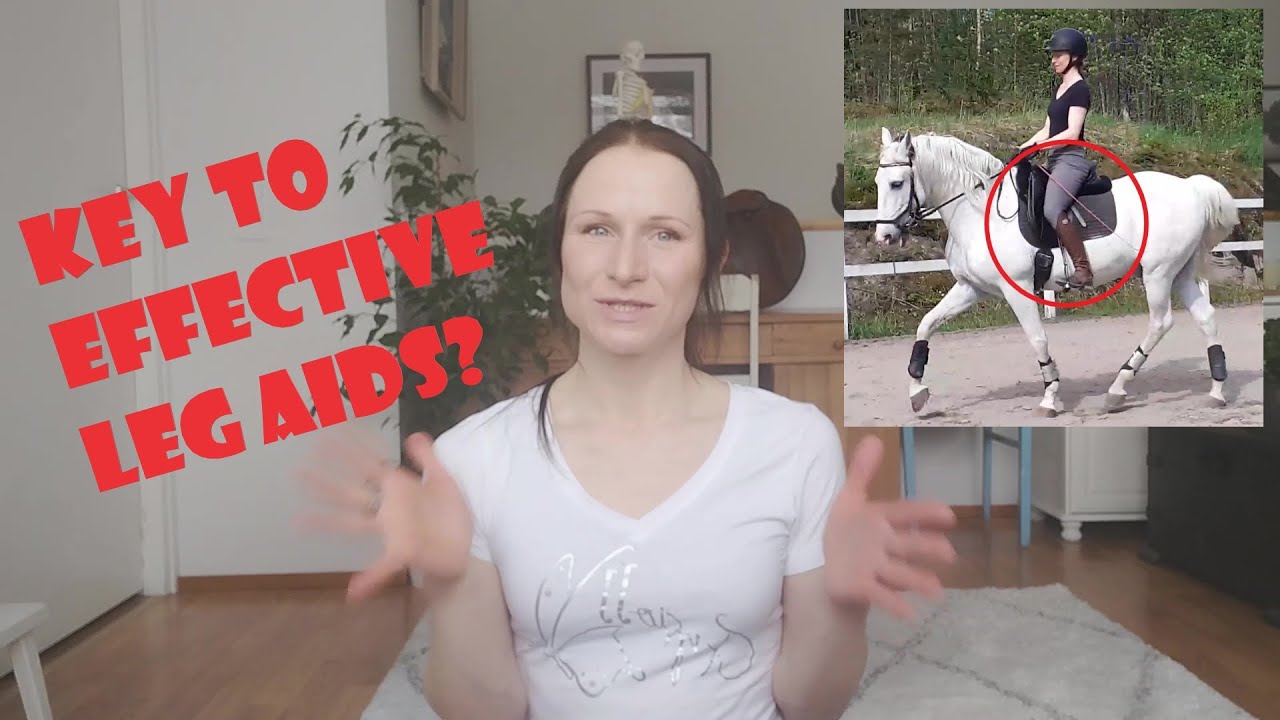 Correct Riding Aids Key to effective leg aids? (horse riding tips) - YouTube