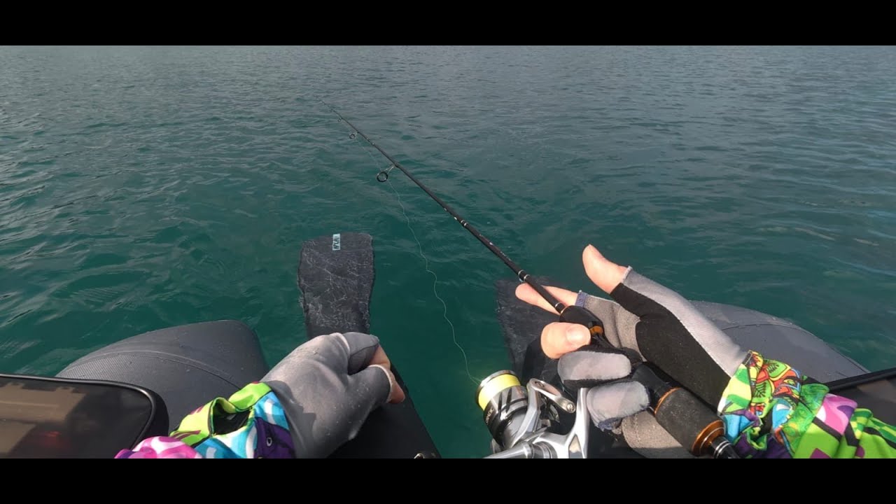 KISIR BAŞLAYIP TROFE İLE BİTEN BELLY BOAT AVIM! #izmirbalıkavı #bellyboat #balıkavı 