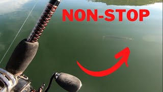 THIS LURE absolutely SLAMMED the Smallmouth Bass and Northern Pike! by Just The Lip Fishing 668 views 1 year ago 17 minutes