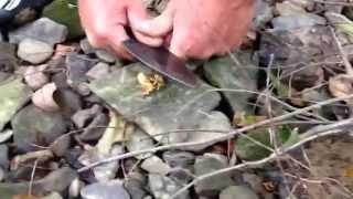 Labor Day Bushcraft Adventure