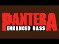 Pantera - The Underground in America ENHANCED BASS (Rex Brown) 2018 Sandblasted Skin