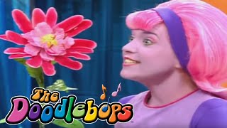 The Doodlebops: The Ewww Flower (Full Episode)
