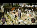 Светлогорск 2021. Часть седьмая, заключительная