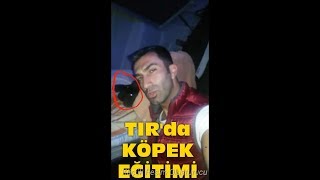 Tırda Köpeğim Arthurla Makara Yapmaca Komik