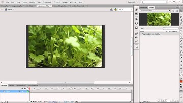 Adobe Flash CS6: What is the Course About 02 Learn ByVideo