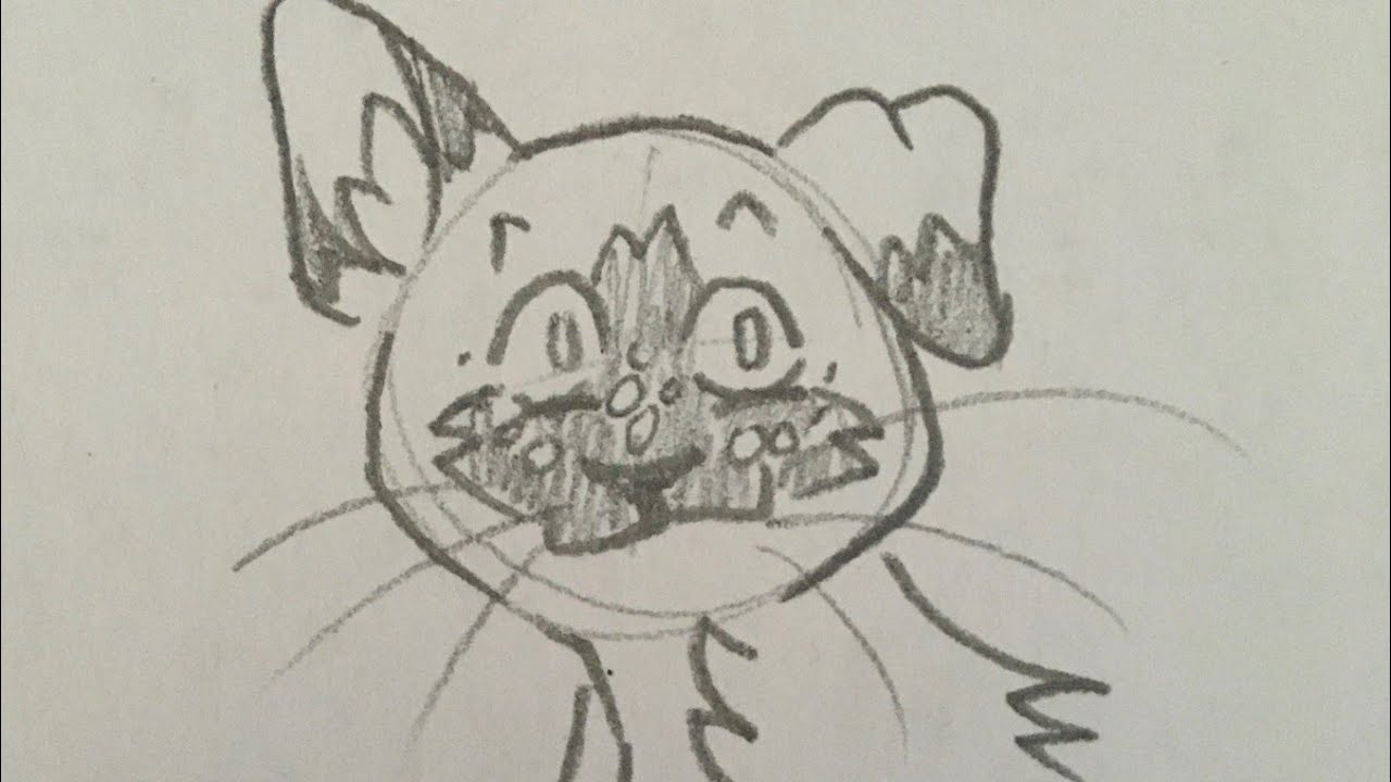 Shellspring is The Ruler of Everything