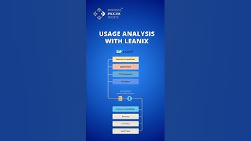 Usage Analysis with Leanix