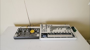 Behringer td-3 & Behringer rd 9 Delay