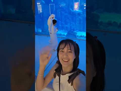AQUARIUM- DUBAI MALL | Mommy Anne