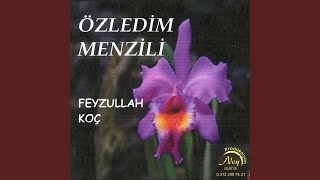 Tevhit — Feyzullah Koç kapak görseli