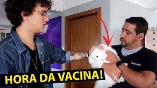 VACINANDO OS GATOS DO CHRISTIAN FIGUEIREDO