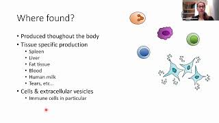 "Lipid mediators in acute inflammation and its resolution – what, when and where?"