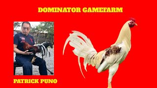Dominator Gamefarm of Patrick Puno screenshot 2