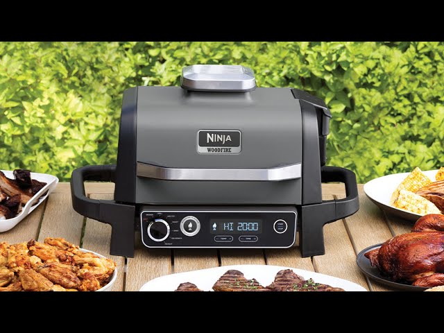Ninja OG701 Woodfire Grill & Smoker - Cook Tests & Review 
