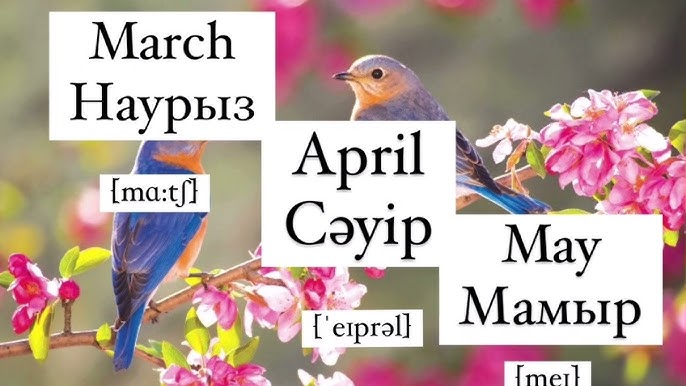 Тор порно көру Эрика Белла онлайн