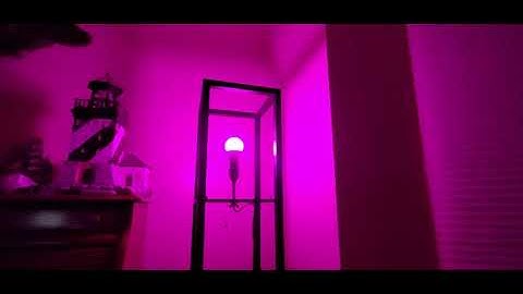 The Best SMART RGB Light Bulb NO-HUB  SENGLED  (EPISODE 3062) AMAZON UNBOXING Video